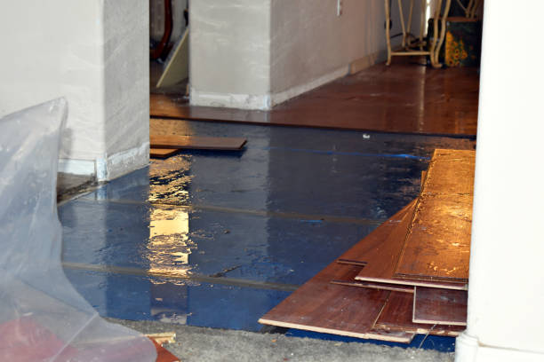 Professional Water Damage Restoration technician working in Palms, MI